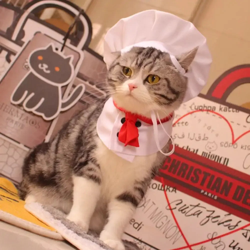 Pet Cooking King Hat Chef Clothes Hats Set Cat Dog Transformation Dress Cute Photo Decoration Hat Dog Costume Pet Accessories