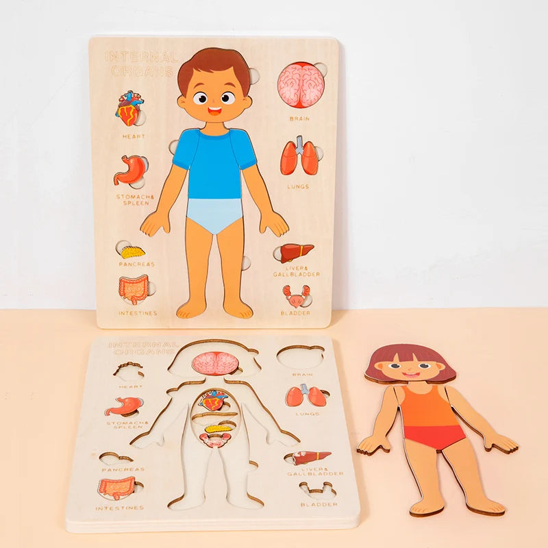 Kids Wood Montessori Toys Human Body Organs Puzzles Educational Toy Preschool Kindergarten Early Baby Learning Boys Girls Unisex