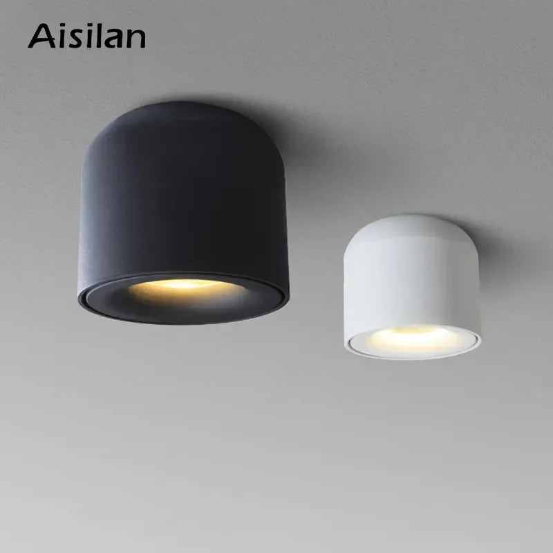 Aisilan Surface Mounted LED Ceiling Light  Spot Light  for Living Room, Bedroom, Kitchen, Corridor Ceiling Lamp AC 90v-260v