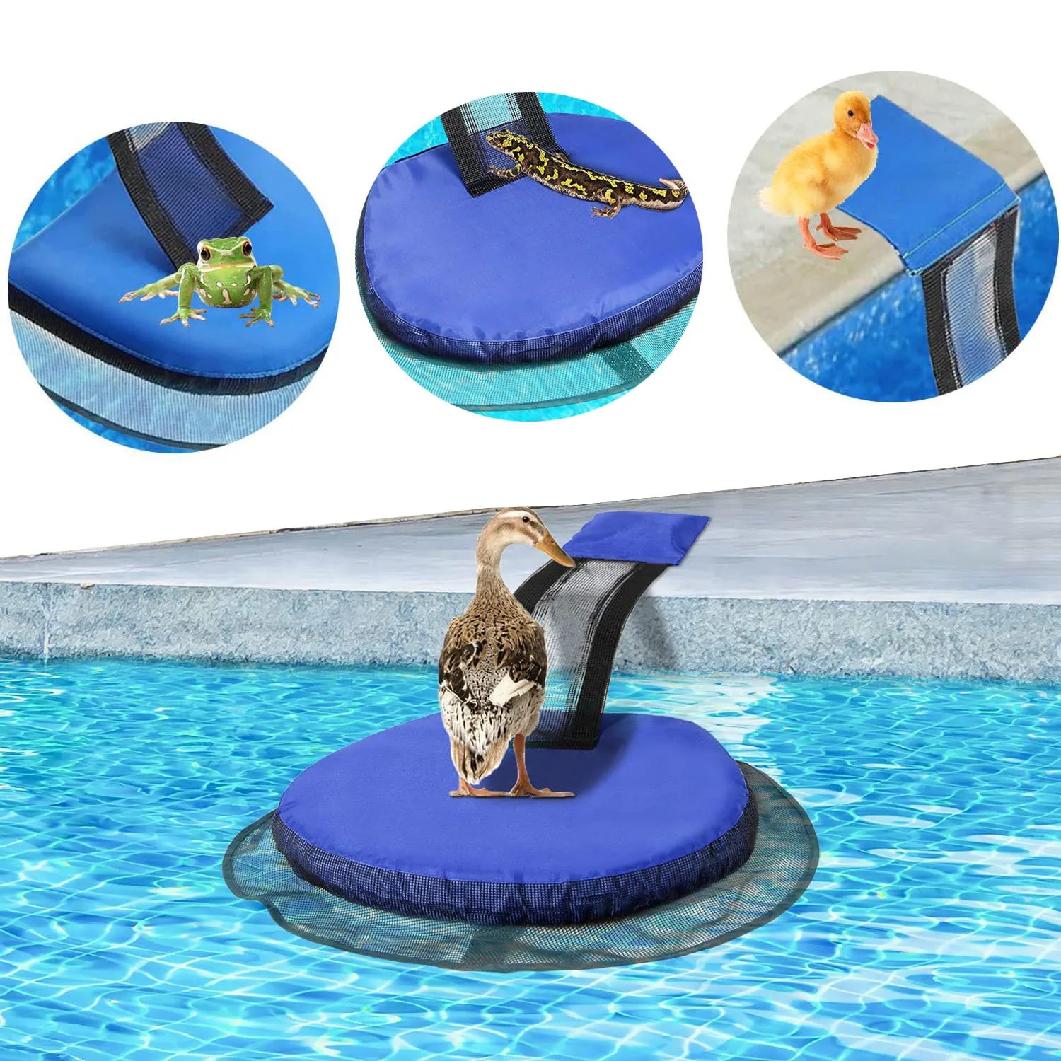 Swimming pool small animal escape net Animal escape way frog escape slide escape net