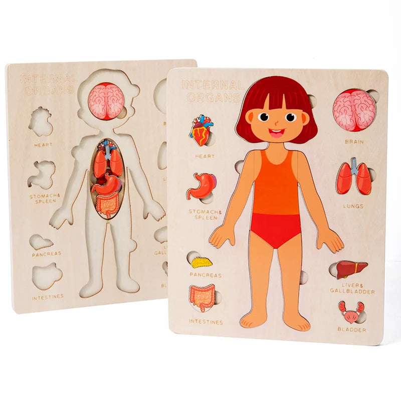 Kids Wood Montessori Toys Human Body Organs Puzzles Educational Toy Preschool Kindergarten Early Baby Learning Boys Girls Unisex